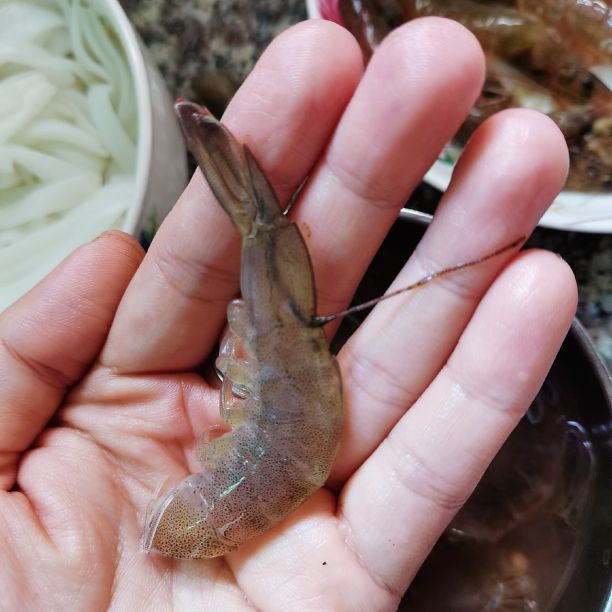 青菜西红柿粉条汤的做法,粉条西红柿汤的家常做法