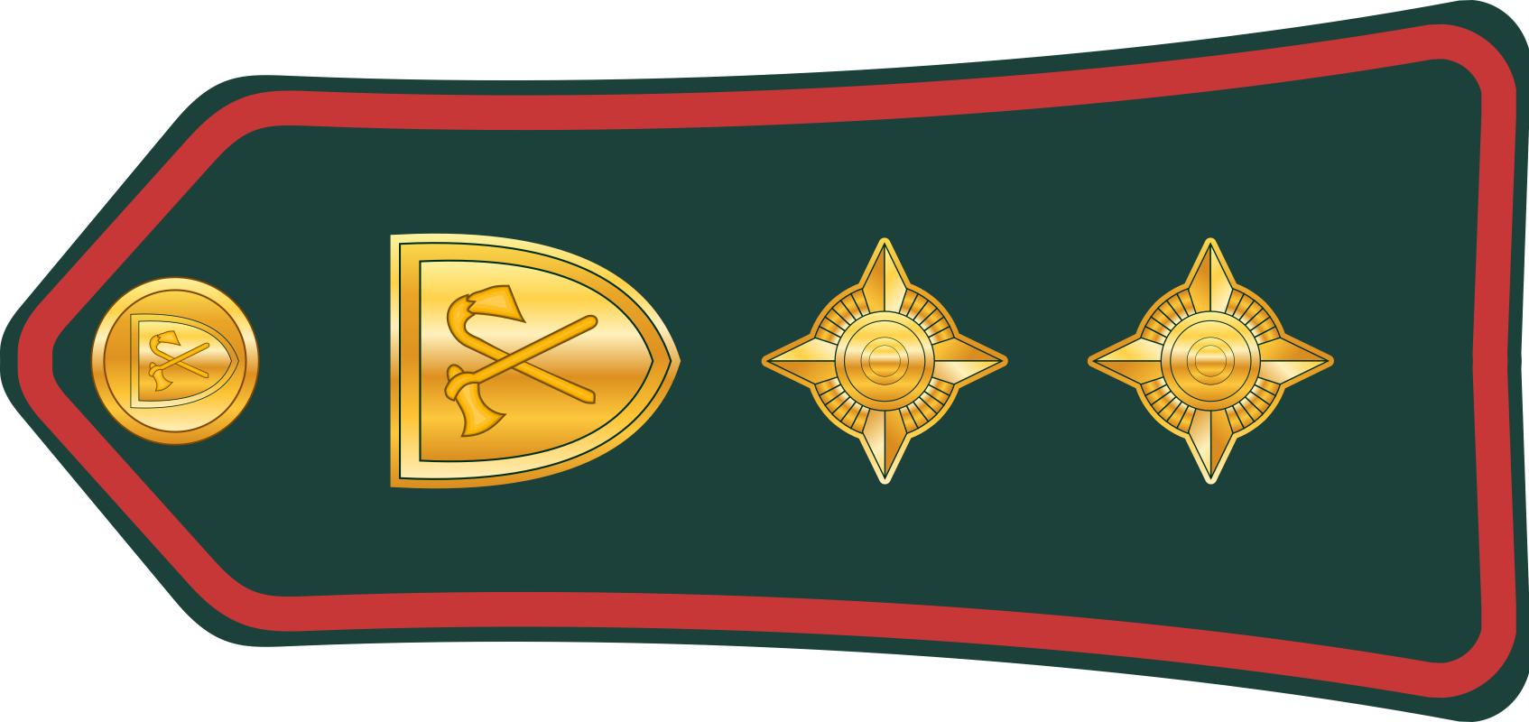 西亚各国军衔,各国军衔标识坦桑尼亚