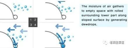 沙漠求生取水技巧,生存狂逃生技巧