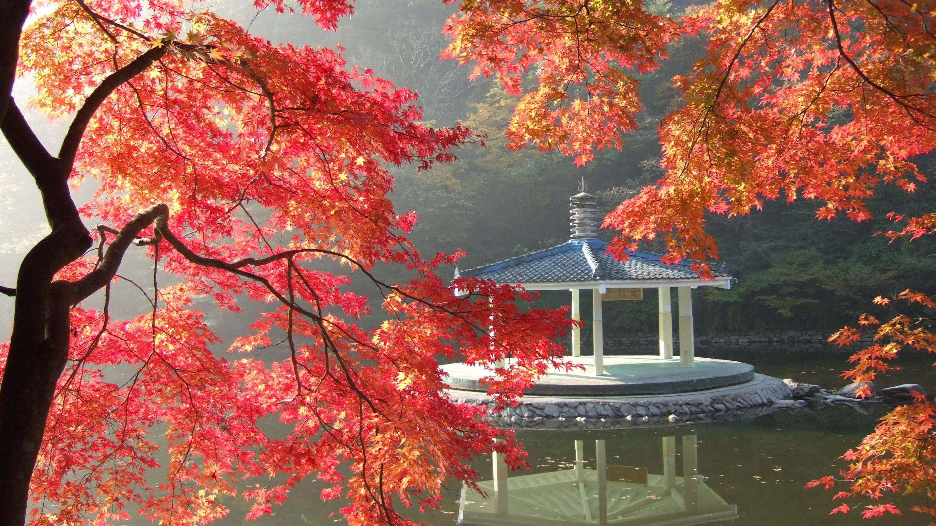 小人是如何控制你的,怎么面对生活中的小人