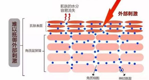 孙艺珍爱的迫降经典片段,女神孙艺珍完整视频