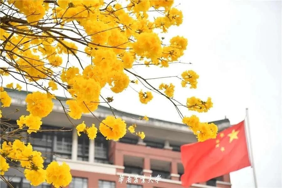 报考华南农业大学,华农报录比