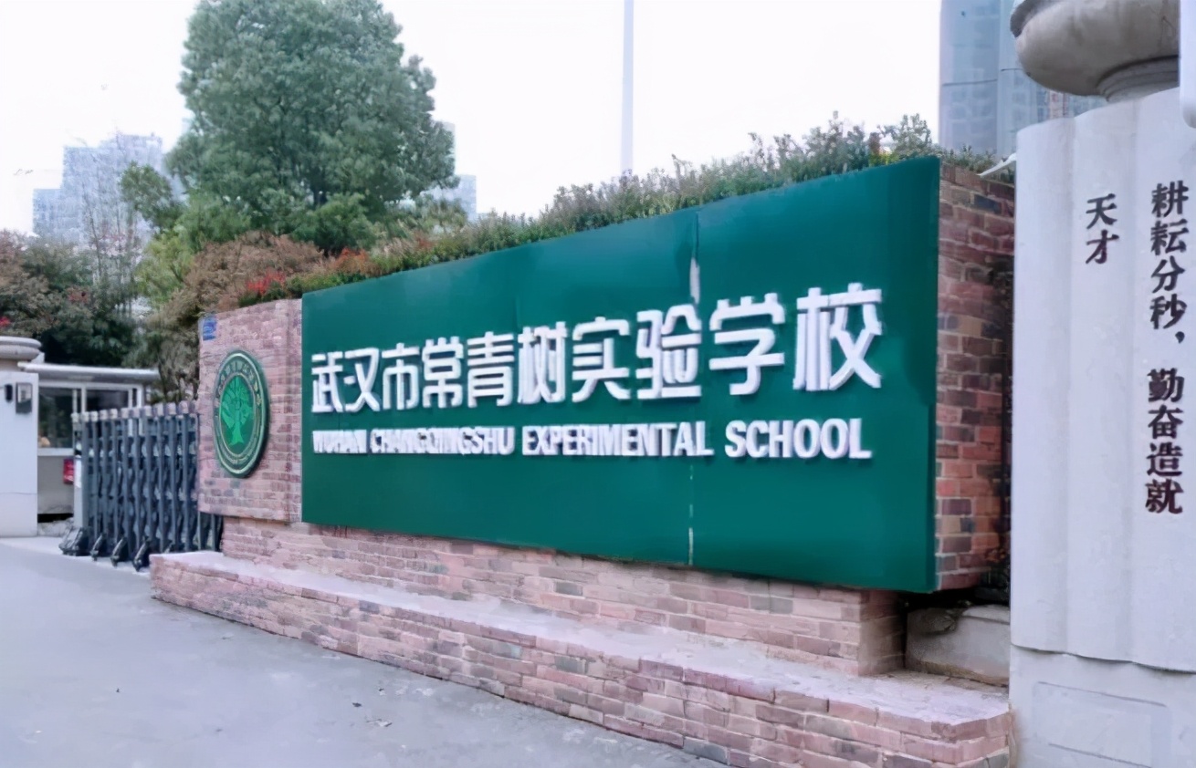 江汉学区房变化,江汉区最有潜力的学区房