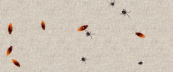 上班摸鱼必备网站,电脑摸鱼小游戏网站