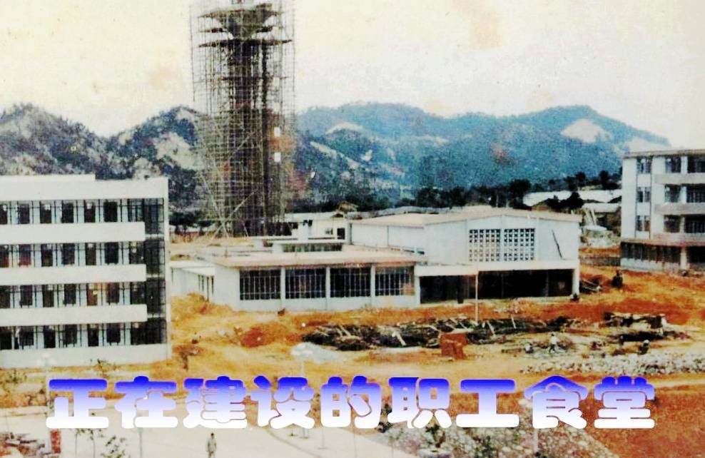 贺军的军营生活-崔总对未来的规划和去组建天津分公司