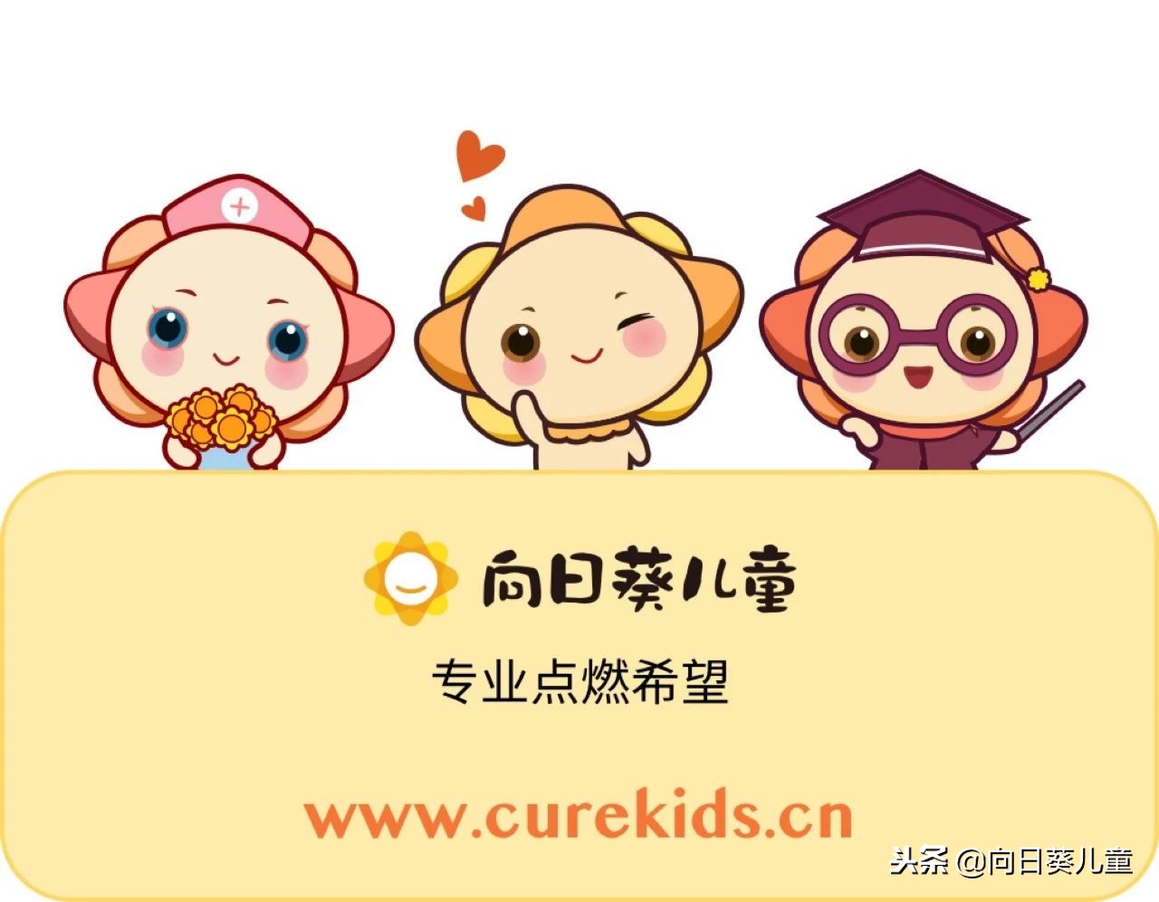 白血病自费20万医保能报销多少,白血病治疗报销政策