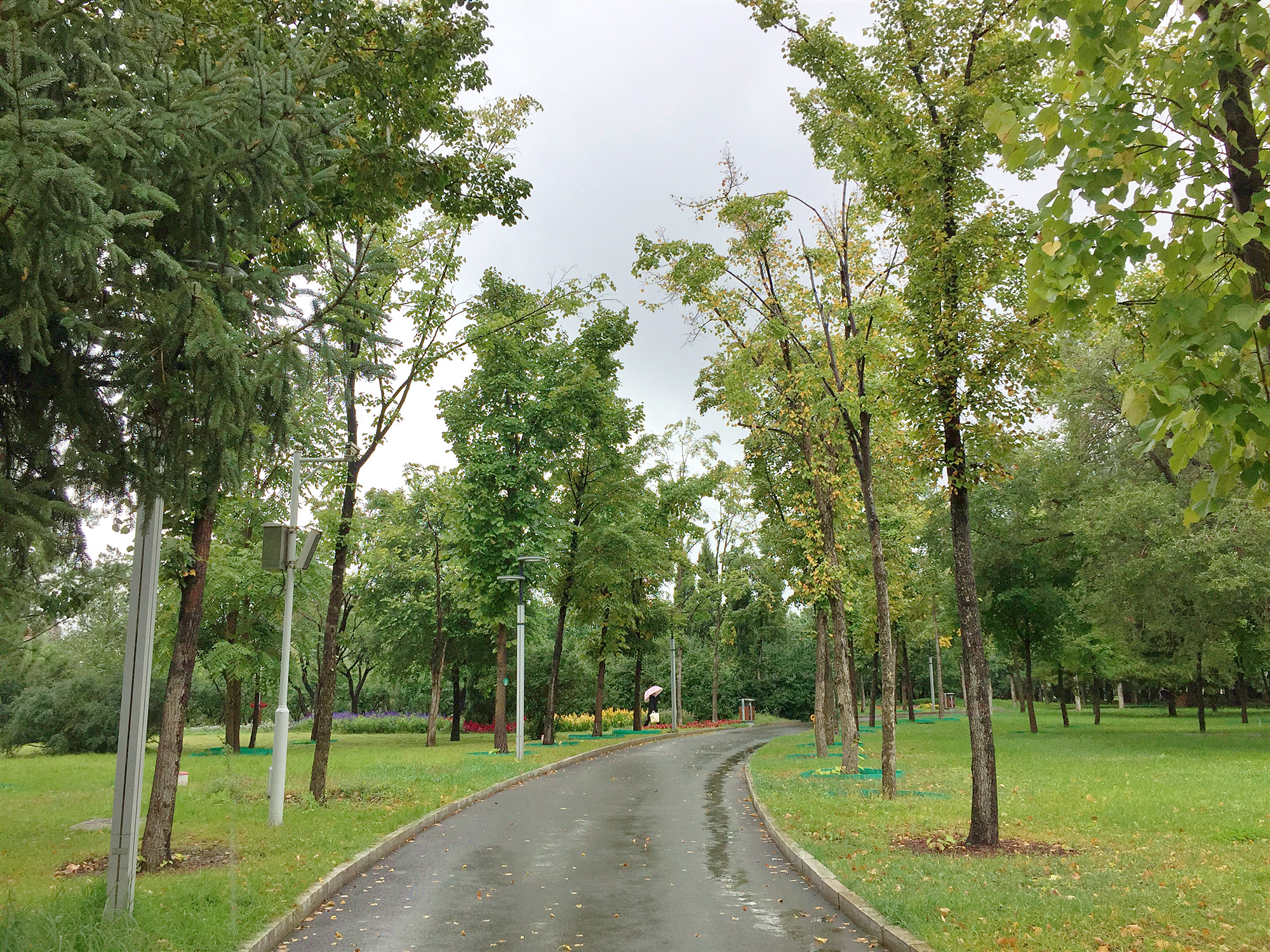 长春有名的旅游打卡地,长春春天打卡景点