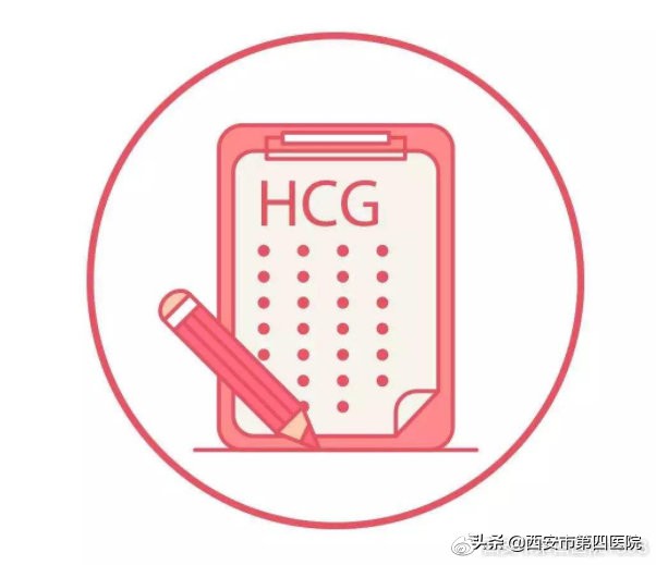 hcg雌二醇孕酮之间的关系,hcg与孕酮雌二醇的关系