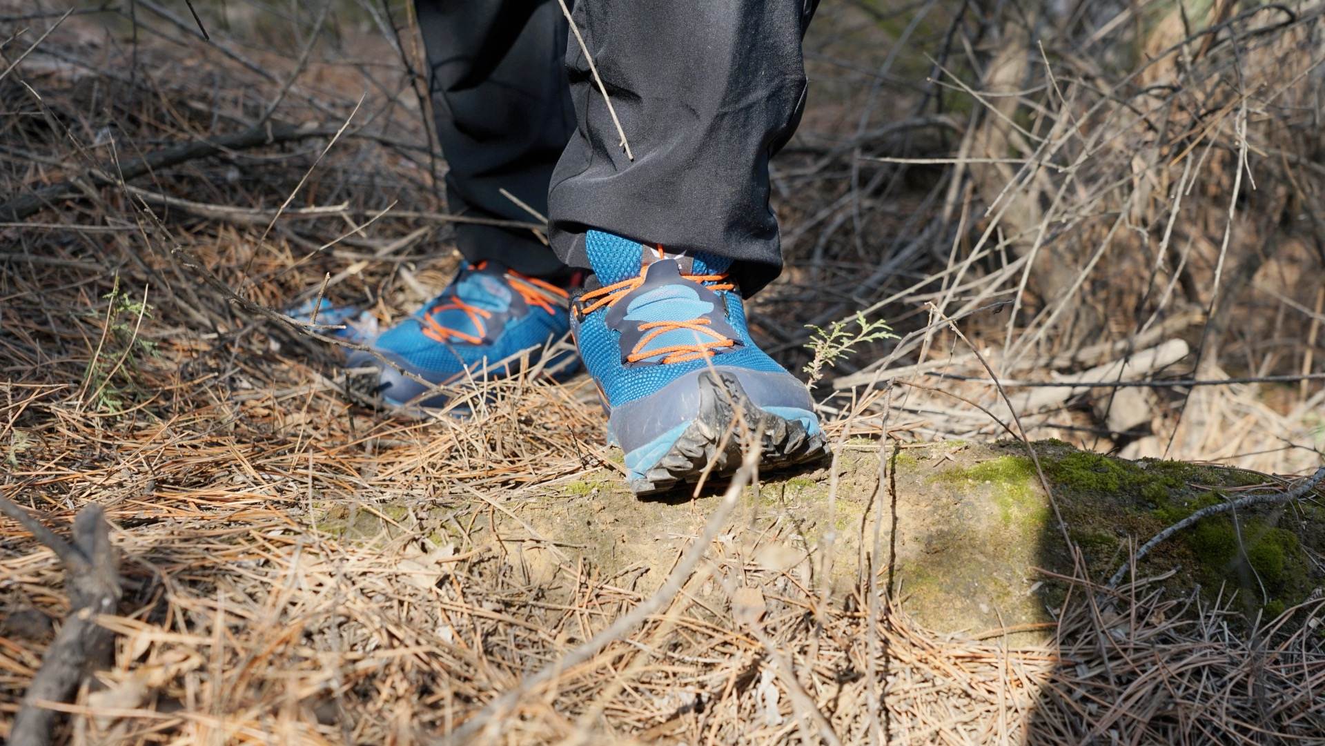 春游准备计划,制定春游小计划