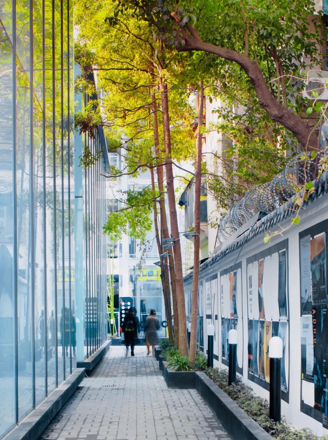 2020年脑洞大开的创业项目,成都脑洞大开