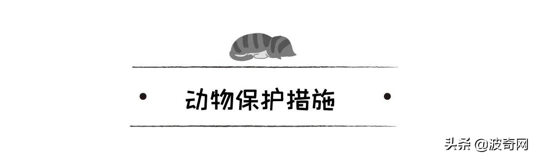 不喂狗会复位吗,不喂狗的下场