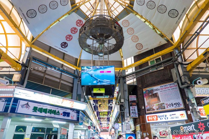 去韩国不购物回来的感受,去韩国一定要买什么