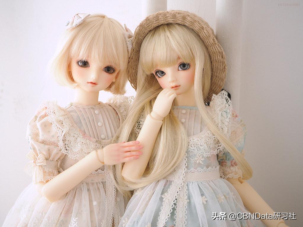 bjd前景如何,bjd真实收入