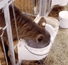 如何清理运动鞋推荐的鞋垫,洗运动鞋鞋垫的方法