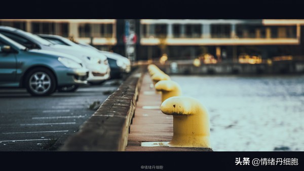 可以去玩一整天的地方,能玩一两天的地方