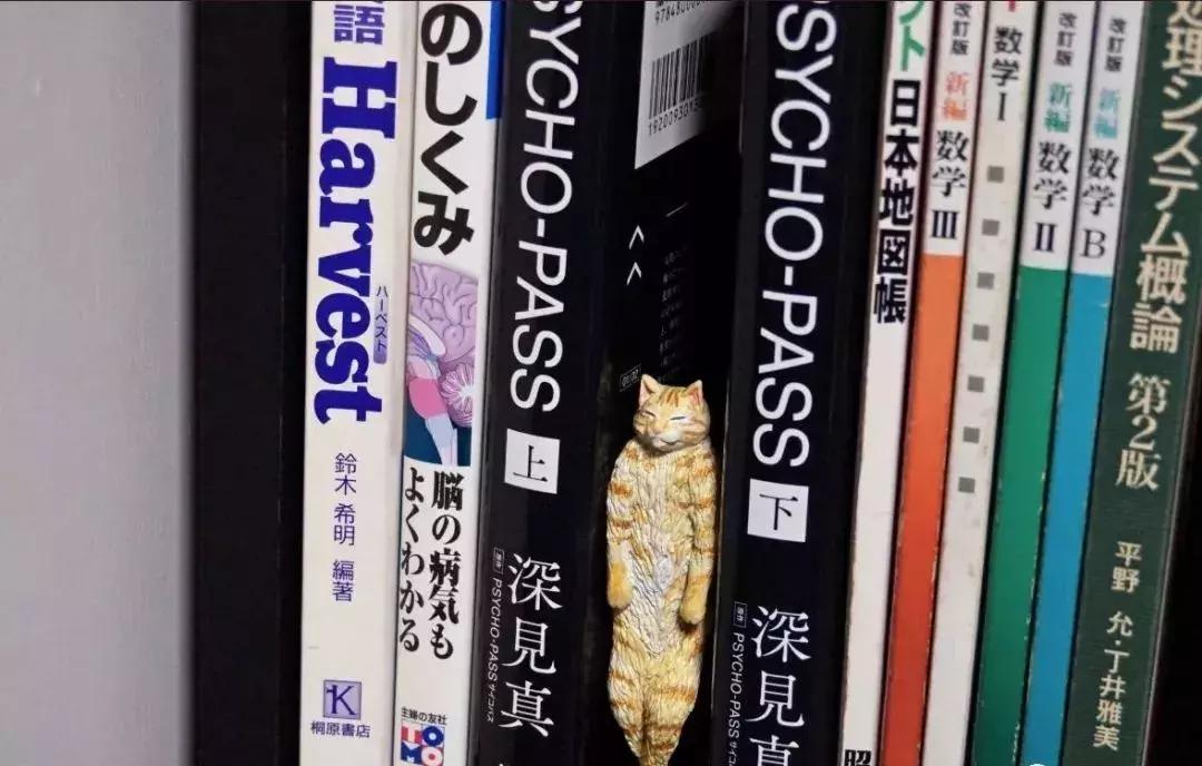 动物星球沙雕系列手办,你从未见过的沙雕手办