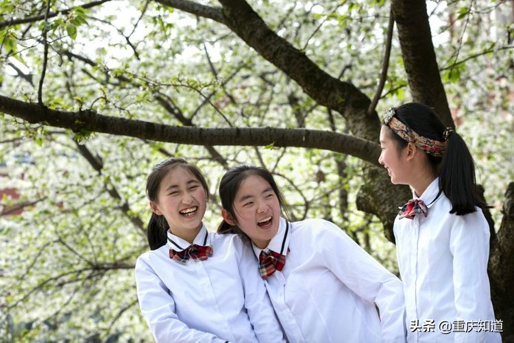 重庆一中名校联合中学,重庆中学十大名校