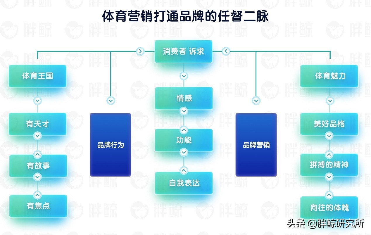 体育品牌营销的重要性,体育品牌营销策略