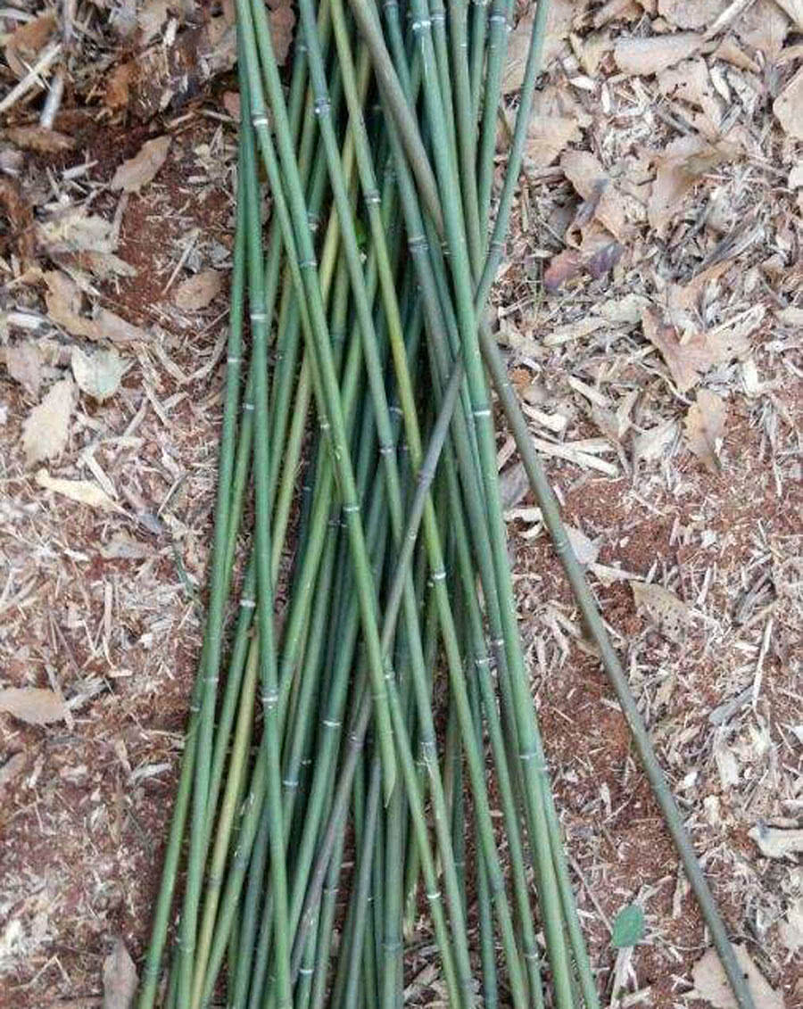 自己动手制作竹竿钓鱼,如何制作简易竹竿钓鱼