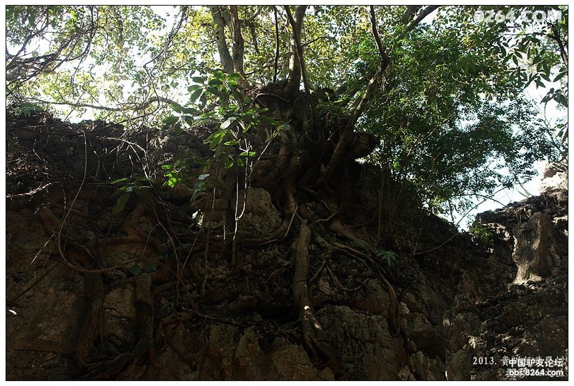 贵州黄果树天星桥游记,贵州黄果树天星桥景区