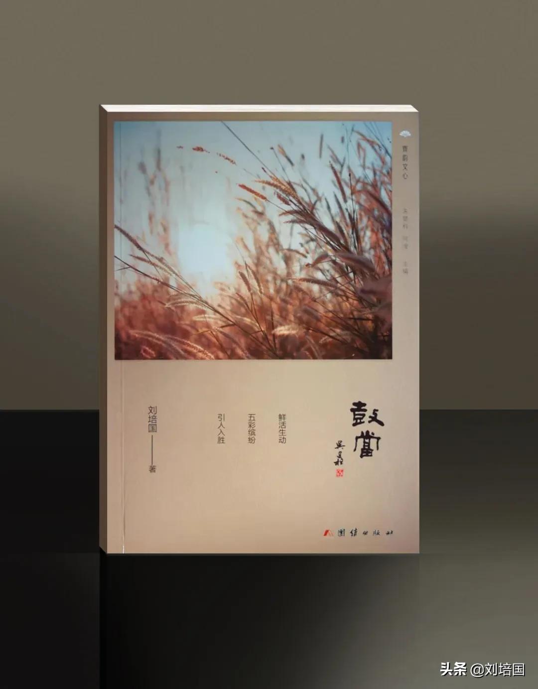 猪痔疮,猪肠痔疮