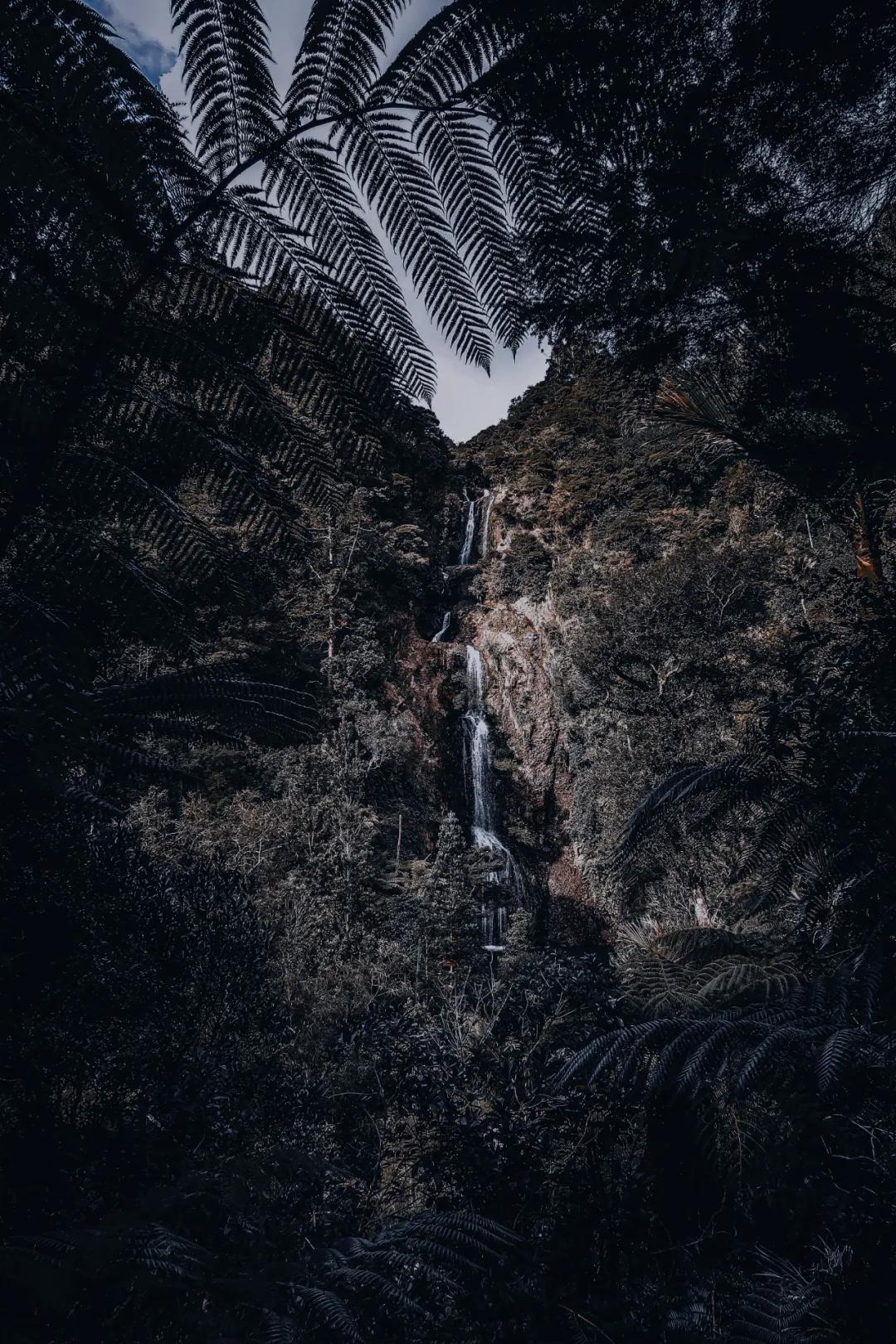 ins风暗黑图片,ins暗黑风格照