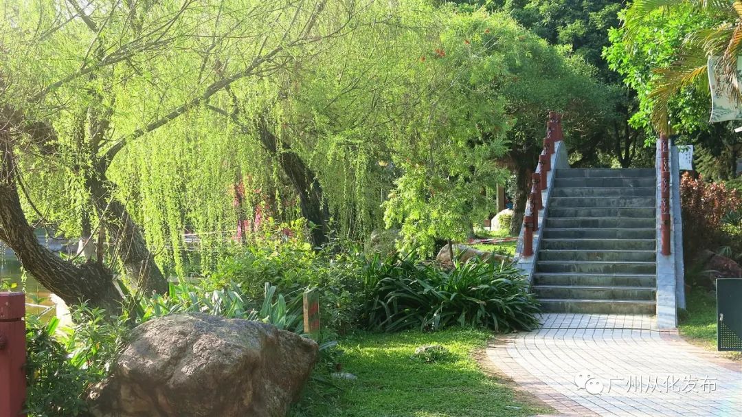 从化青云公园现状,从化青云公园