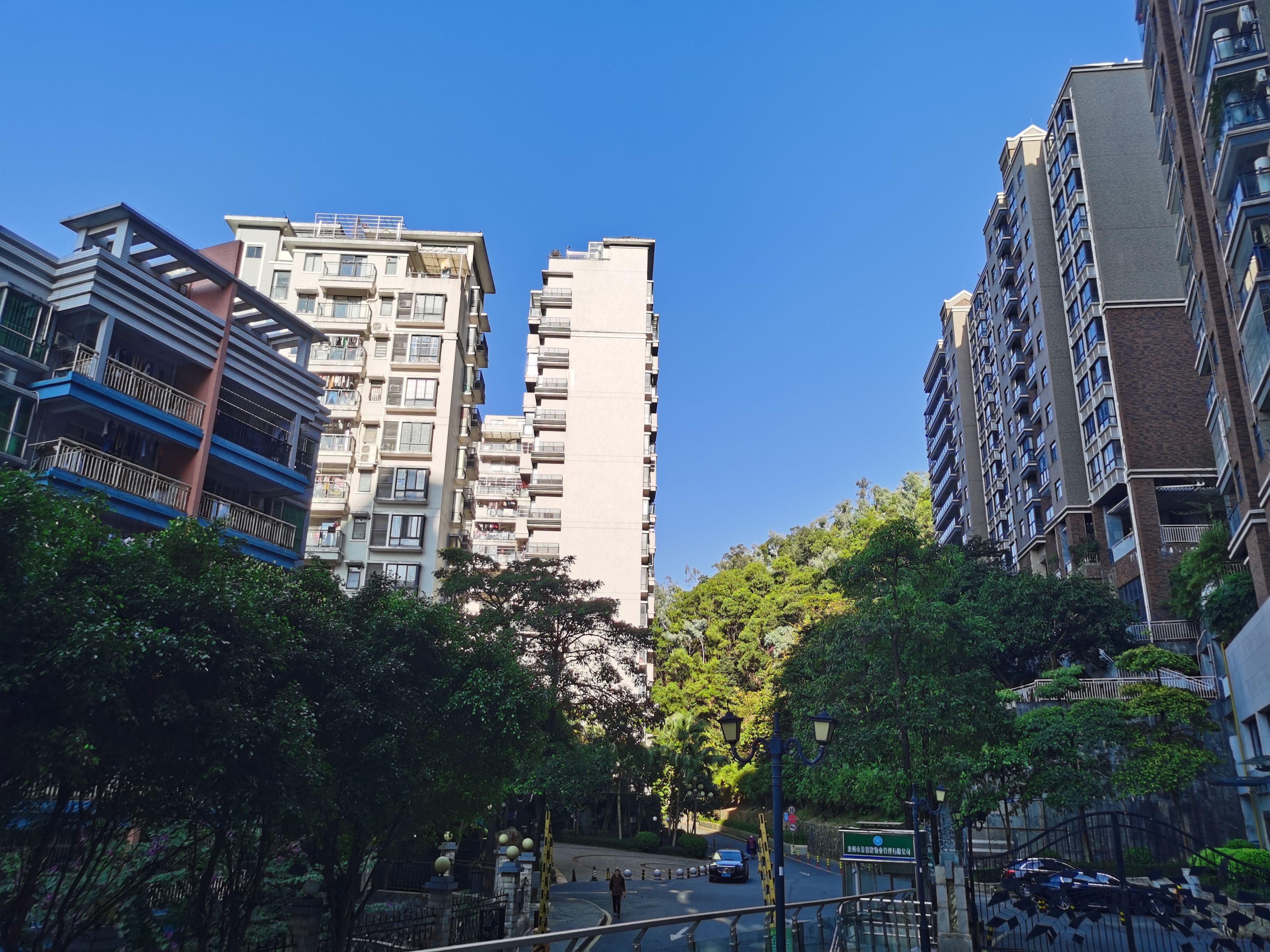 华为nova65g与荣耀v305g,华为nova65g版对比荣耀30