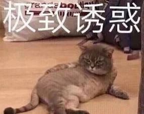 打字员兼职骗局流程,打字员兼职怎么接单