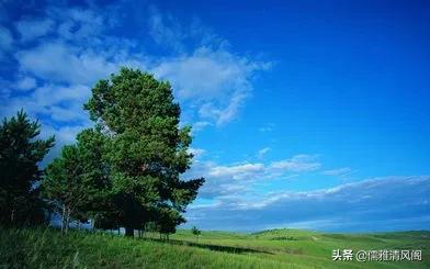 都市情感：大姑姐爱上了我前夫（一）