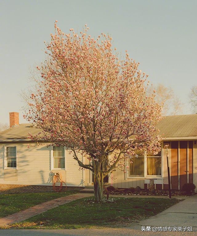 情感咨询|栗子姐每日情感问答(0619)