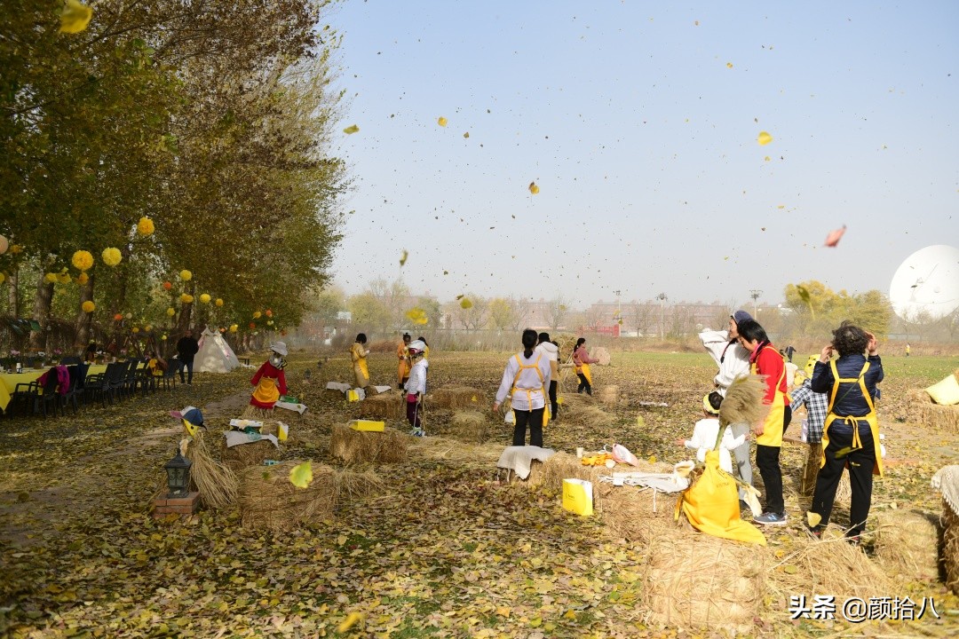 没有比利时花园游，来点比利时啤酒吧|随笔