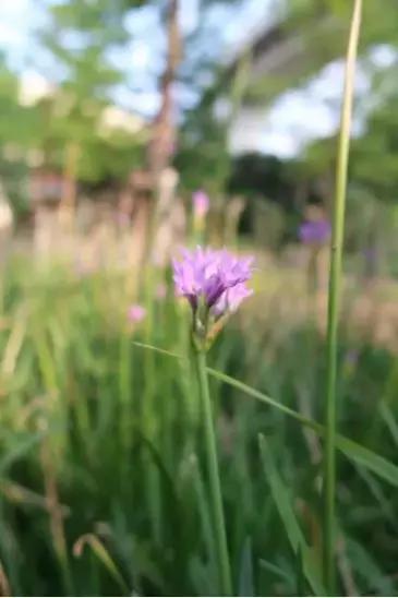 浣宠兘powershotg5xmarkii缂虹偣,浣宠兘powershotg5xmarkiii