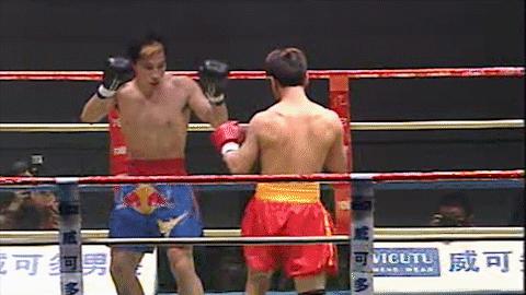 散打王一战成名,中国散打王腿法集锦