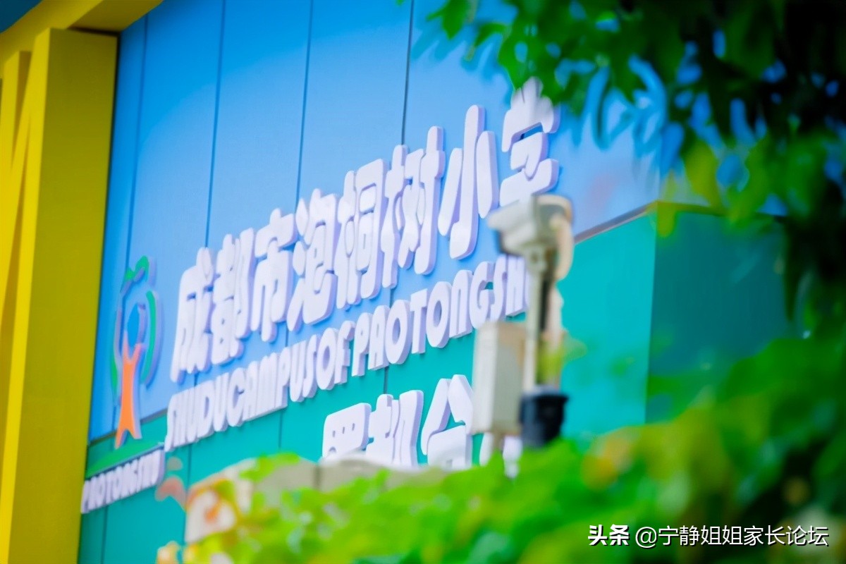 泡桐树小学分校排名,成都泡桐树小学境界分校