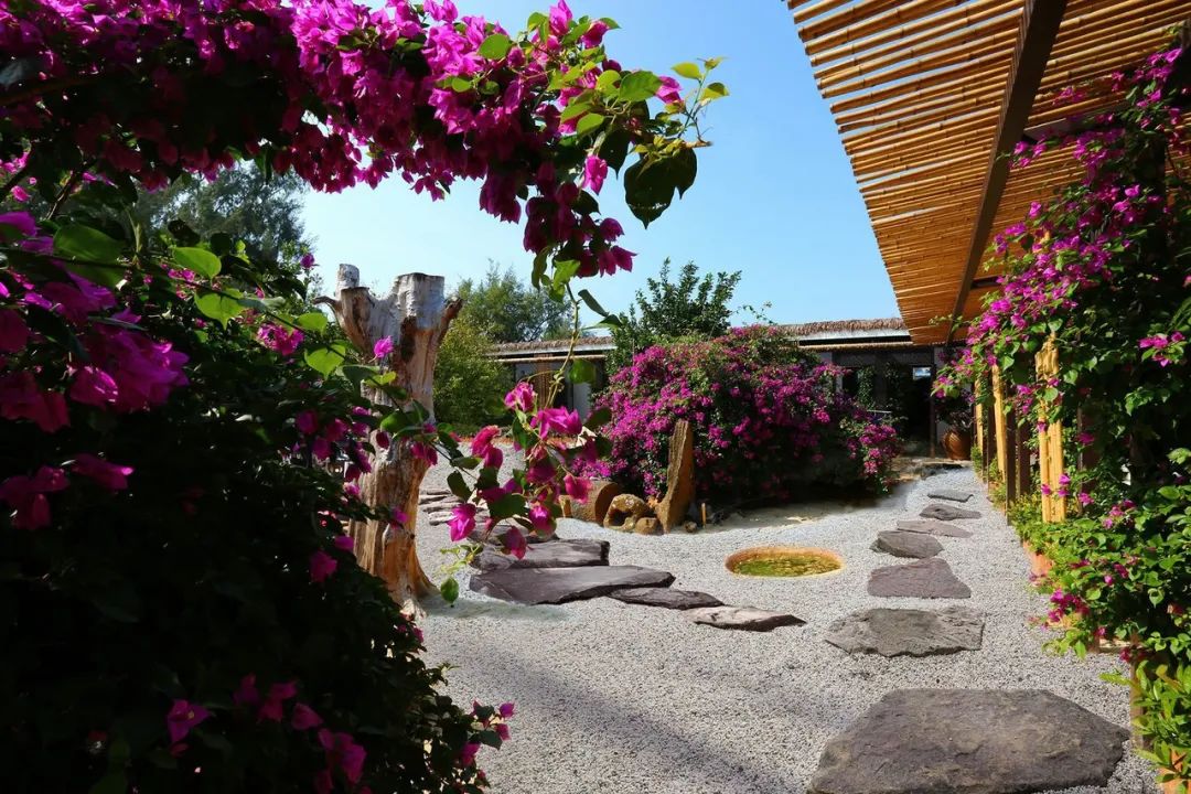 涠洲岛五一节民宿推荐海景房,涠洲岛海景4天3晚民宿推荐带泳池