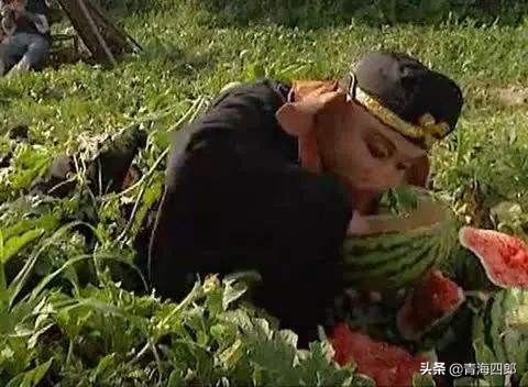 西瓜被偷却倒赔小偷300元后续,农民西瓜被偷倒赔偷瓜者300元