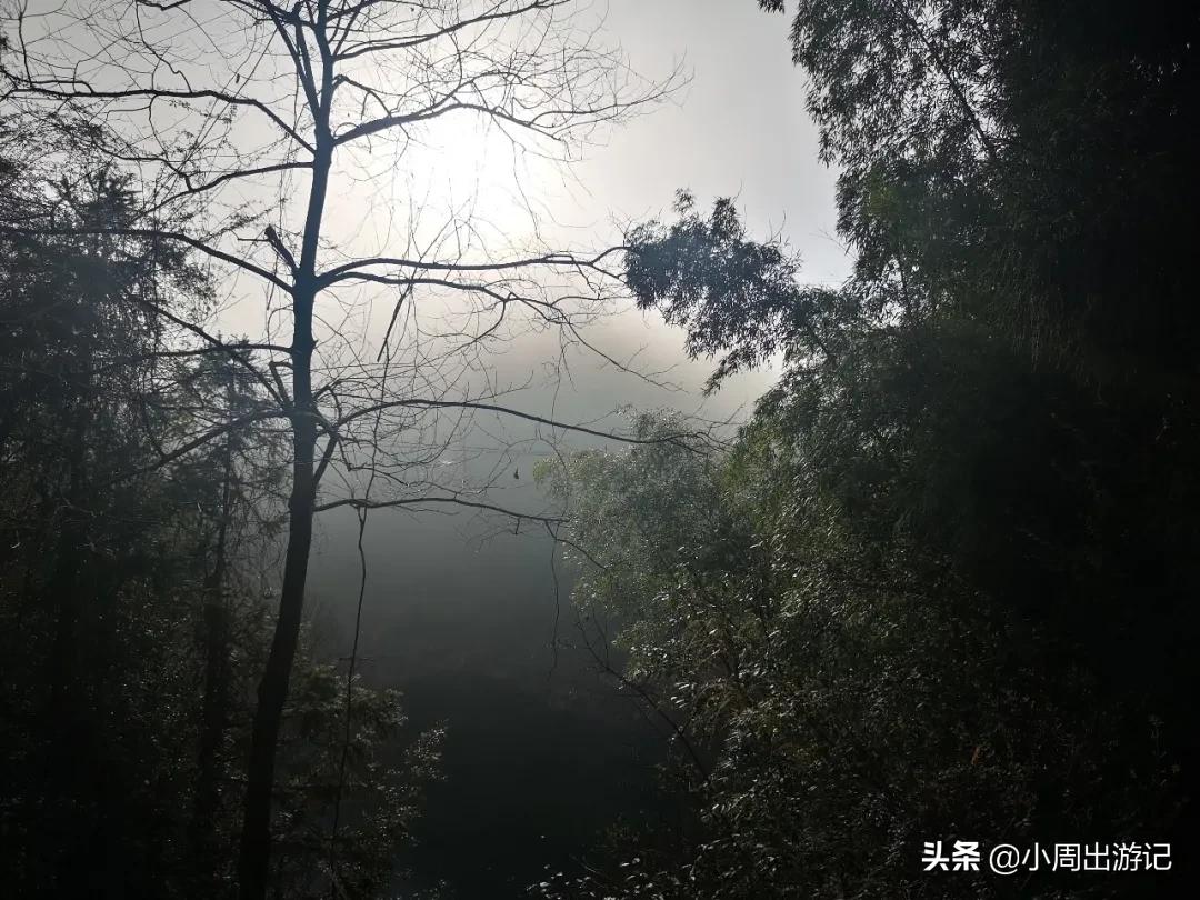 温州文成“下背村”，一个沉入水底多年的小村庄，已渐渐被人遗忘