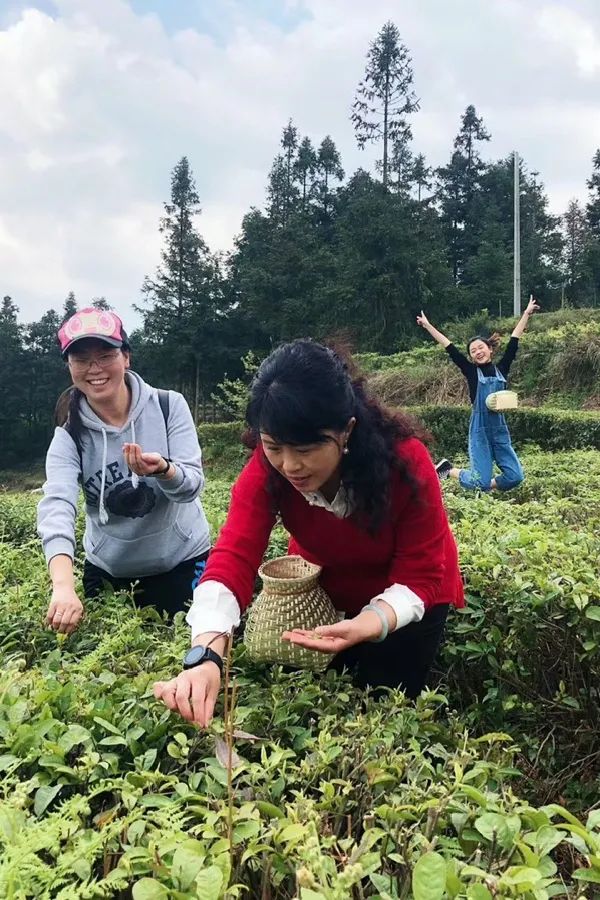 春日自然教育,春日茶语正能量