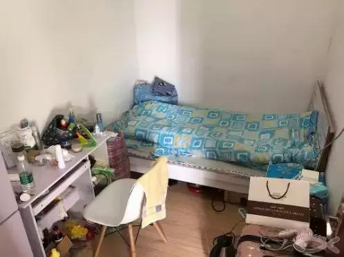 90后花3000元爆改出租房,厦门房屋出租改造