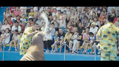 西安海洋公园地址,西安华夏文旅海洋公园