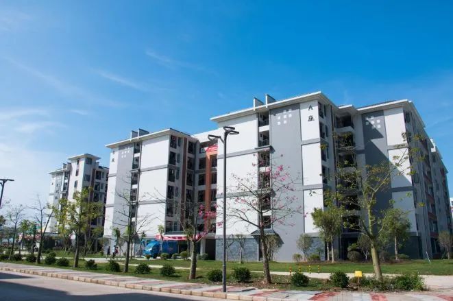 高职高考广东岭南职业技术学院,广东岭南职业技术学院高职宿舍