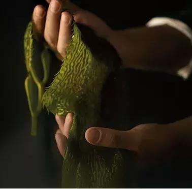 大牌平价替代,平价护肤品真的可以替代大牌