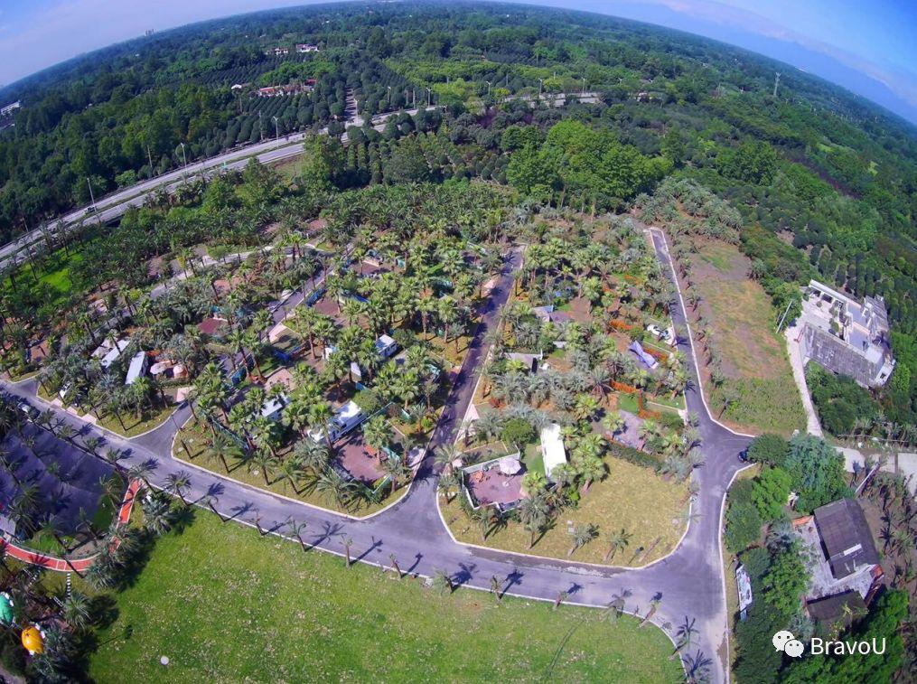 【慢游新天府，感受新成都】端午节特辑（二）|世界冠军蒋文文、蒋婷婷带你去逛川西林盘和特色小镇打卡地