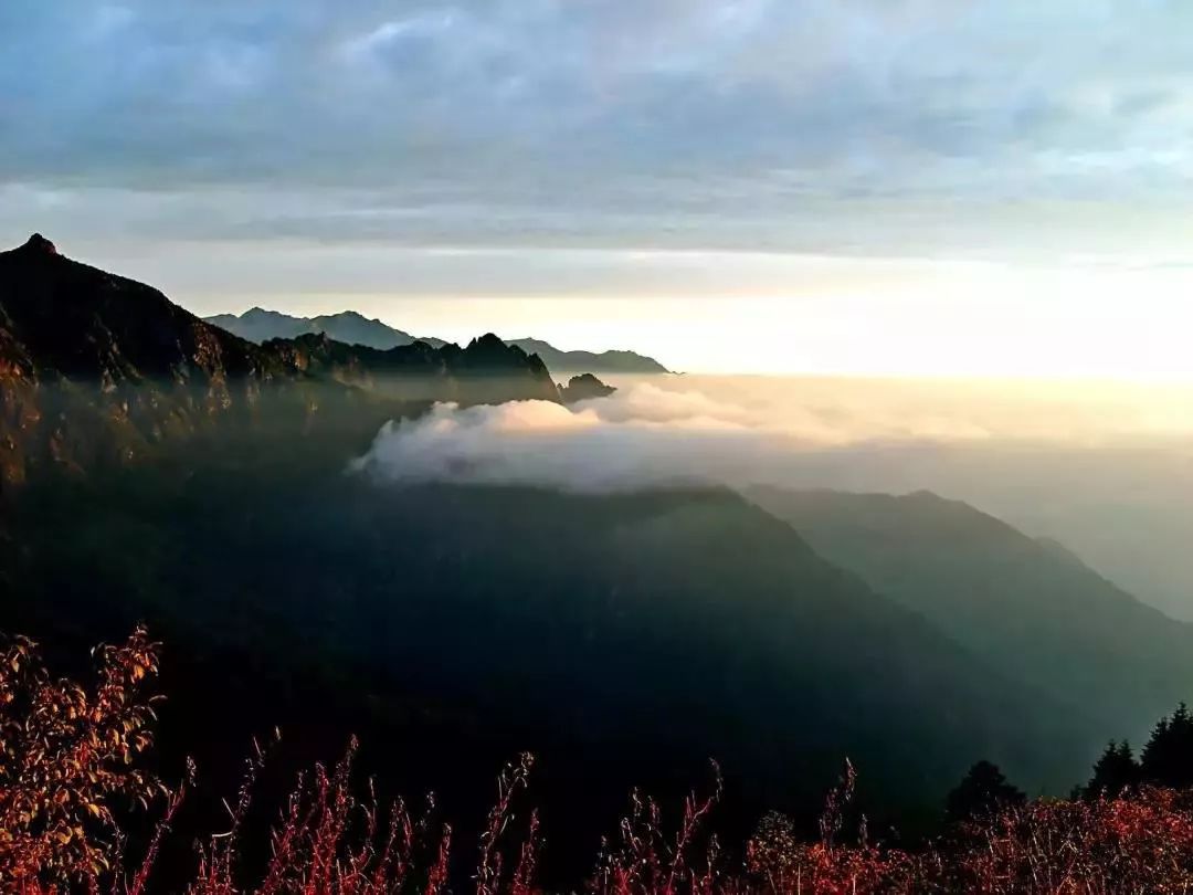 论如何做一个精致的女孩,论如何做一个正常的人