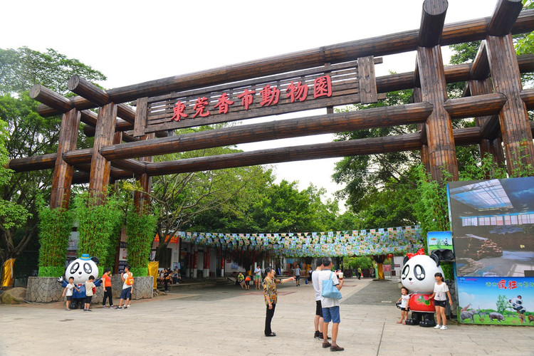 东莞影视城有明星吗,东莞影视城拍什么戏