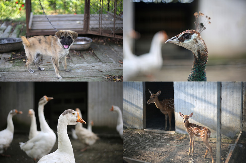 两天一夜游密云,密云两日游最佳攻略