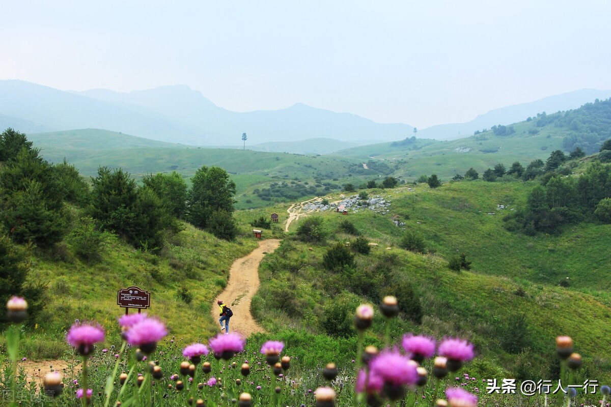 华北最大的亚高山草甸圣王坪,华北最大的亚高山草甸