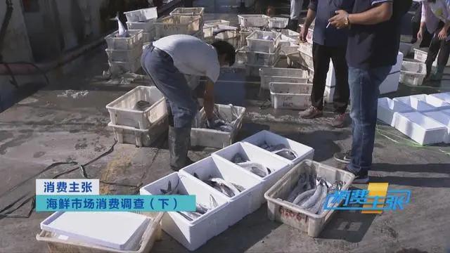 三亚海鲜市场皮皮虾多少钱一斤,海鲜市场上的皮皮虾