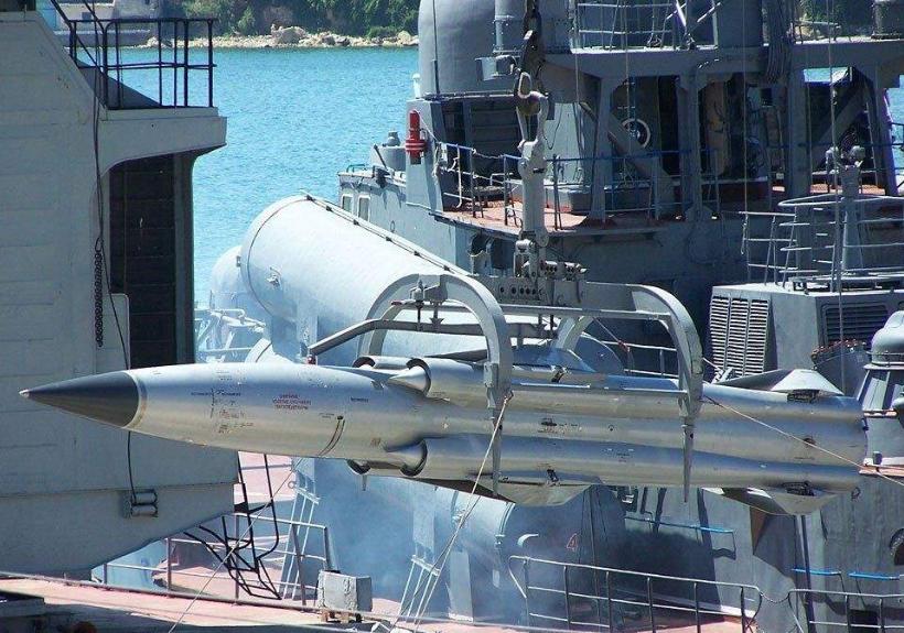 毒蜘蛛巨无霸,真正的毒蜘蛛